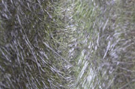 Nutts Corner fibreglass roof work